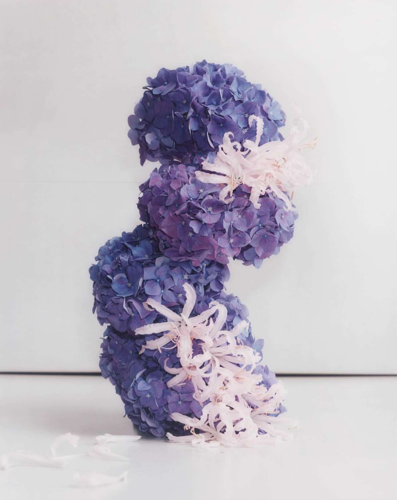 Still life of three stacked purple hydrangeas with white decorative accents against a clean, bright white backdrop and surface.