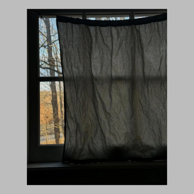 Translucent black curtain hangs in front of a closed window, with a distant landscape including trees and a body of water visible.
