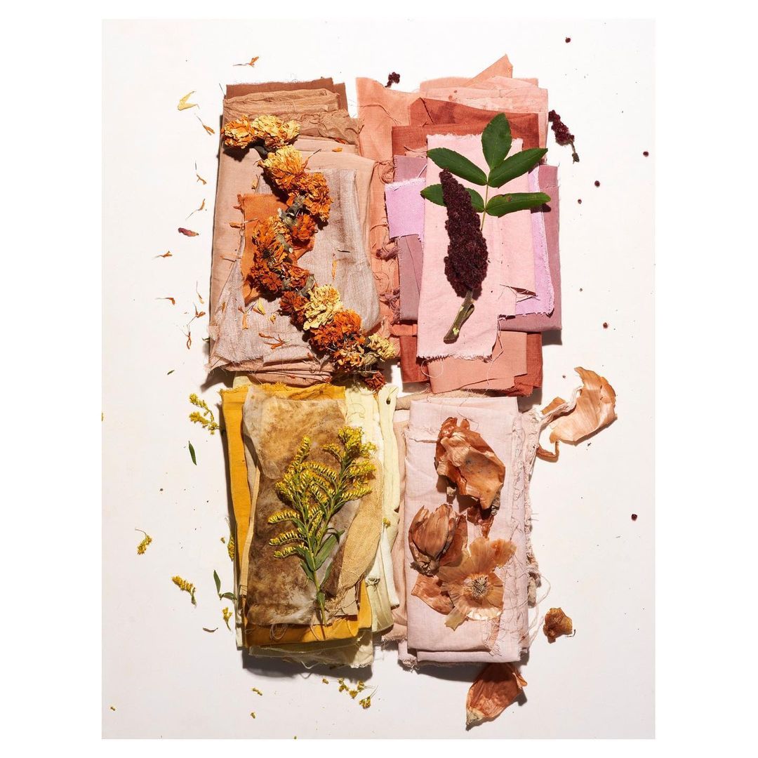 Botanical flat lay features fabric squares with textured botanical dyes and flower accents, creating a natural and organic composition.