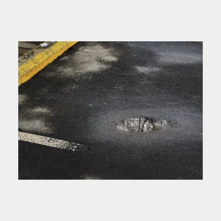 Wet asphalt surface with a puddle reflecting bare tree branches and a yellow curb, creating a textured urban landscape.