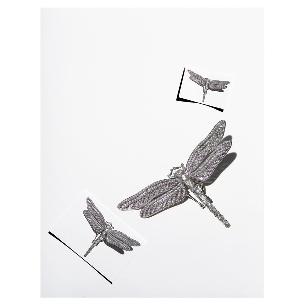Three metallic dragonfly brooches are displayed on a white background, two of which are presented in stylized, graphic frames.