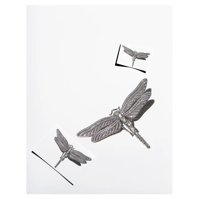 Three metallic dragonfly brooches are displayed on a white background, two of which are presented in stylized, graphic frames.