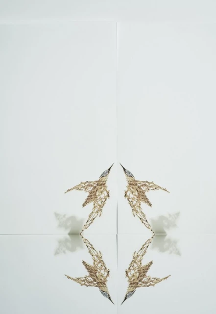Abstract composition featuring mirrored, intricately textured, organic shapes arranged on a minimalist white surface creating a symmetrical pattern.