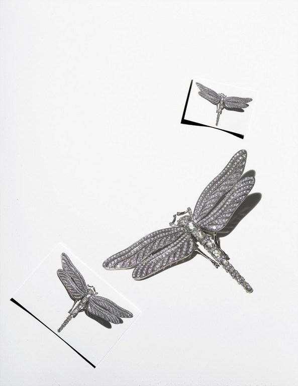 Three silver dragonfly brooches are displayed on a white surface with two of the brooches also displayed on clear squares.