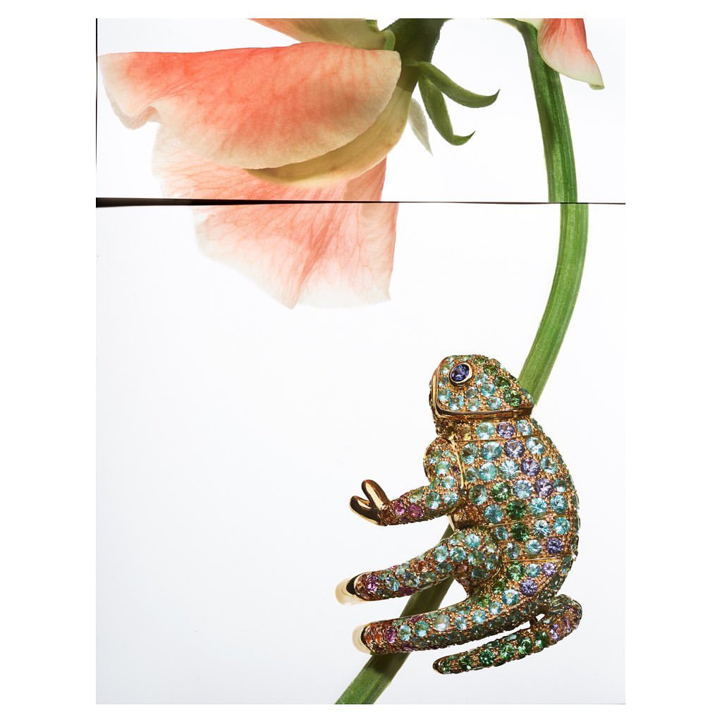 Close-up of an ornamental lizard brooch on a flower stem against a white background, with colorful gemstones and gold metal accents.