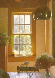 Interior shot of a rustic room featuring a multi-pane window with lush green trees visible outside and a vase of flowers on a wooden table.