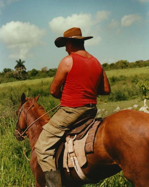 Man in cowboy hat and red tank top rides a chestnut horse through a grassy field under a partly cloudy blue sky. 