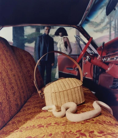 A fashion-forward tableau inside a car featuring a woven purse, a white snake, and two models in stylish attire against a scenic backdrop.