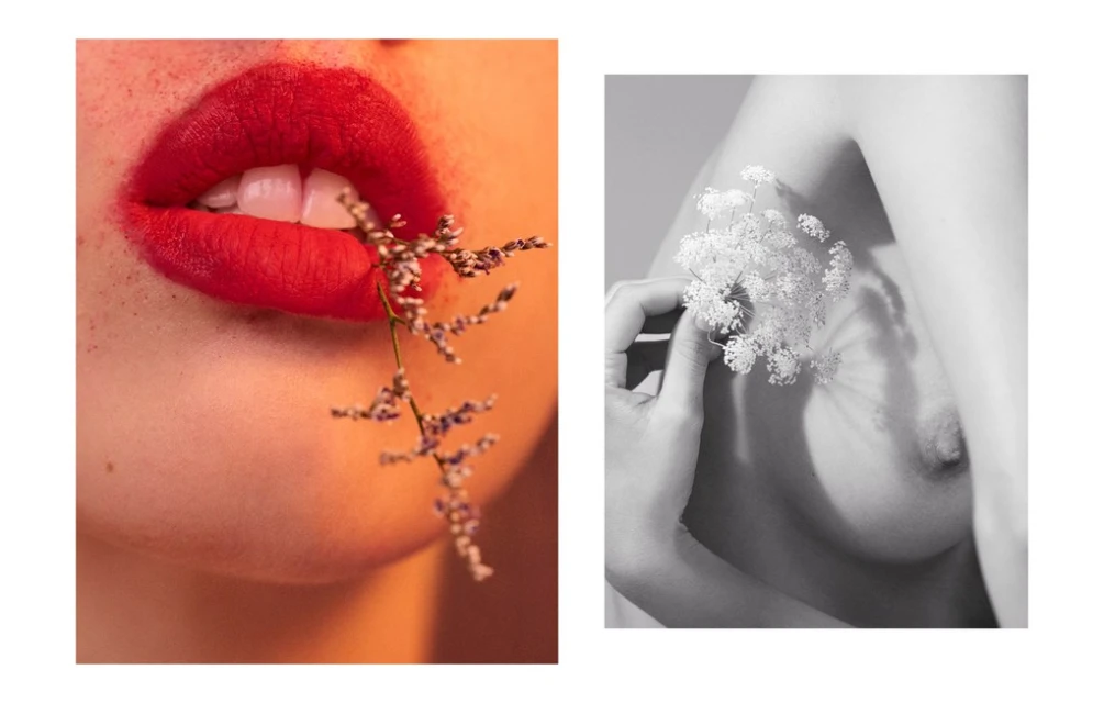 Split-screen beauty shot showcasing a woman's mouth with red lipstick holding flowers and a grayscale torso holding flowers.
