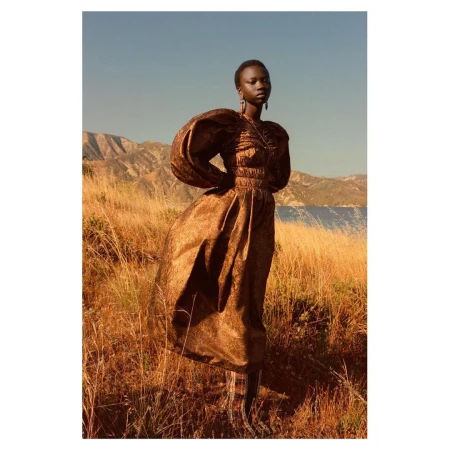 Model in a bronze dress with voluminous sleeves standing in a tall dry grass field against mountain landscape by Julia Noni