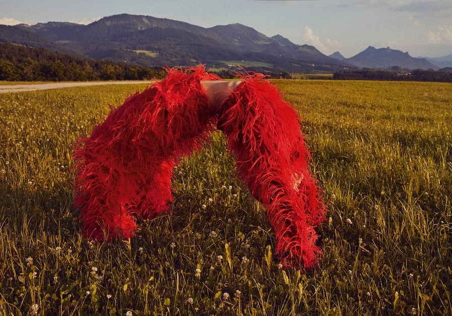 Fashionable red ostrich feather pants on a person standing in a grassy field with mountains in the background during daytime.