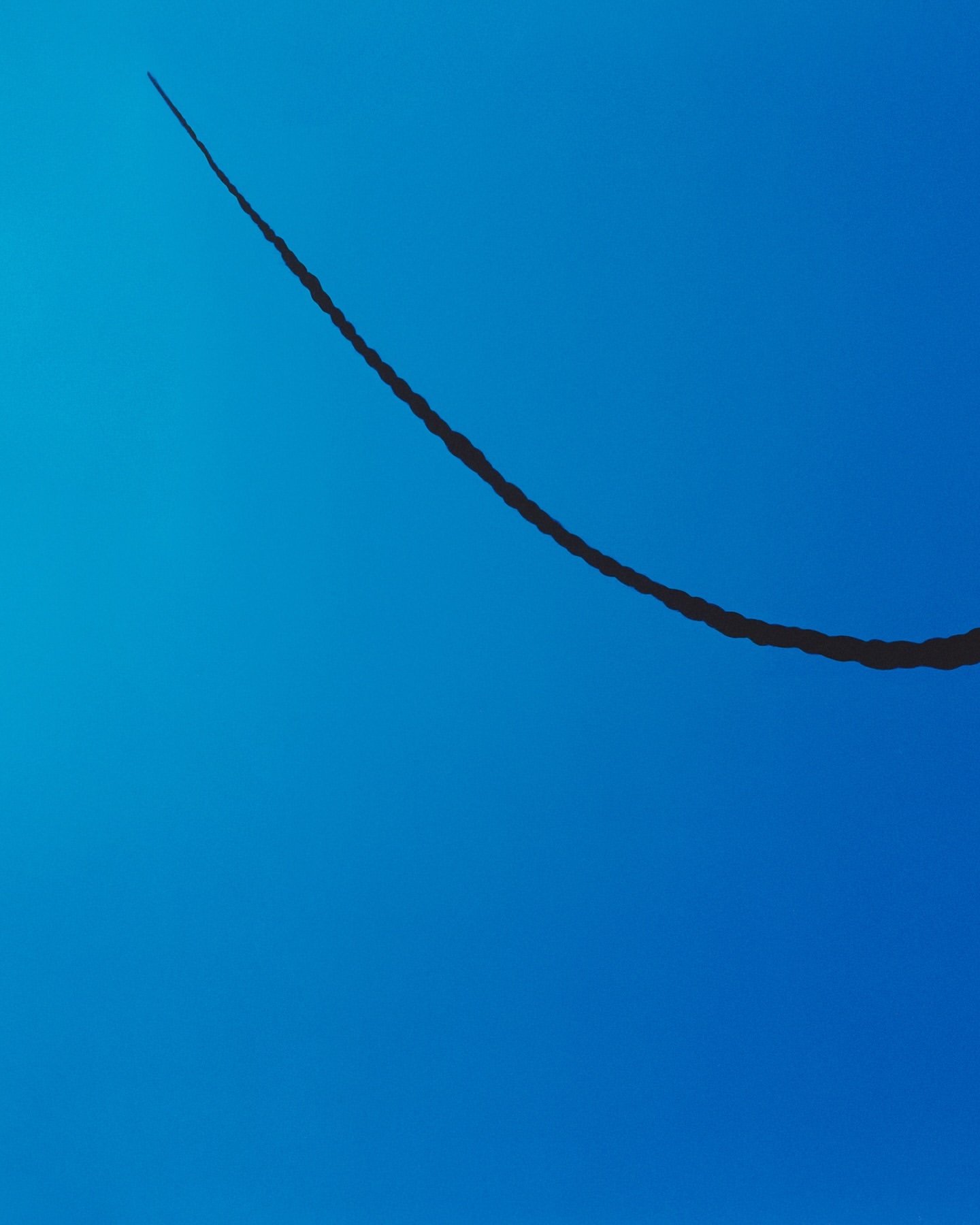 Graphic art featuring a dark, rope-like line that curves across a solid blue background in a simple and abstract composition.