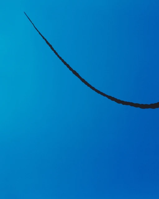Graphic art featuring a dark, rope-like line that curves across a solid blue background in a simple and abstract composition.