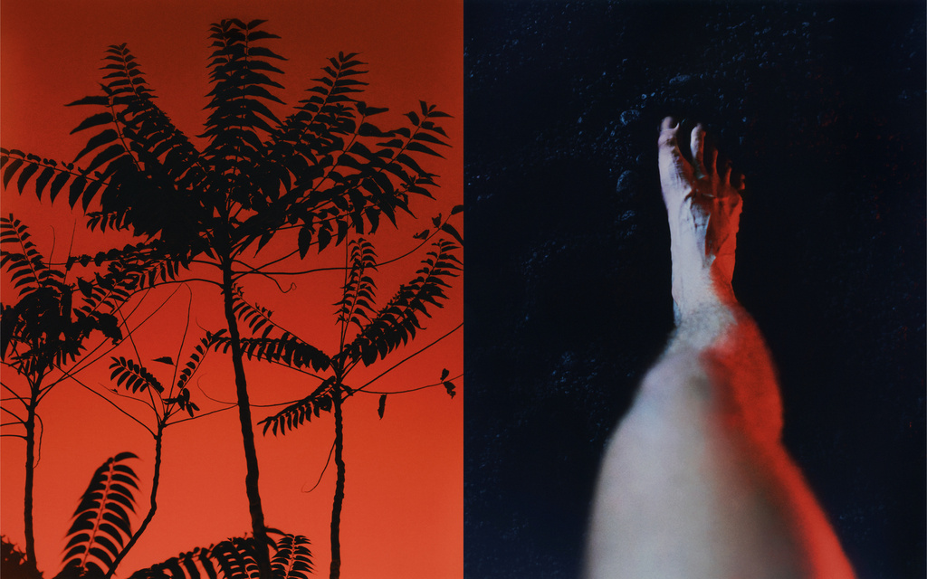 Split image showing a silhouetted tree against a gradient orange background and a close-up of a foot against a dark background.