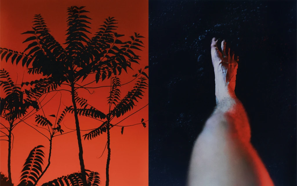 Split image showing a silhouetted tree against a gradient orange background and a close-up of a foot against a dark background.