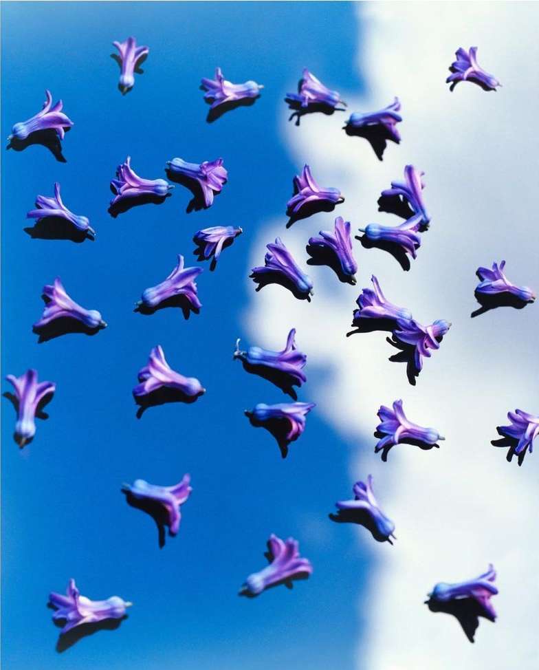 Scattered purple hyacinth blossoms float against a vibrant blue sky with wispy white clouds, creating a dreamy and ethereal floral scene.