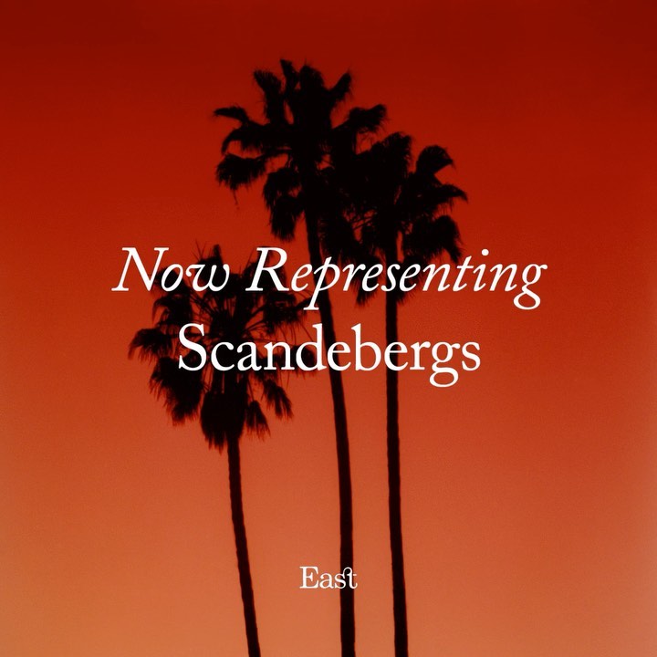 Palm trees silhouetted against a vibrant orange sky, with superimposed text 'Now Representing Scandebergs' and 'East', creating a warm, tropical aesthetic.