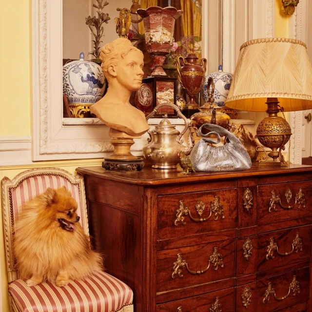 Fluffy Pomeranian dog sits regally on an antique chair next to a dark wooden dresser, adorned with a bust and ornate objects.