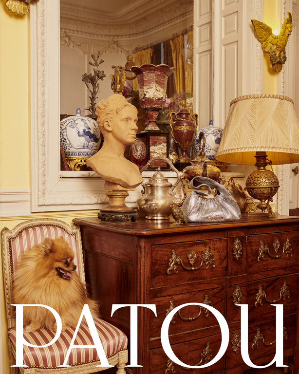 Pomeranian dog poses regally in a striped chair, next to a dark wood dresser with antique decor, under a bust and mirror.