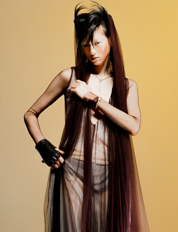 Fashion shot of a woman with an elaborate hairstyle wearing a sheer gown and black glove, posing against a warm, yellow-toned backdrop.