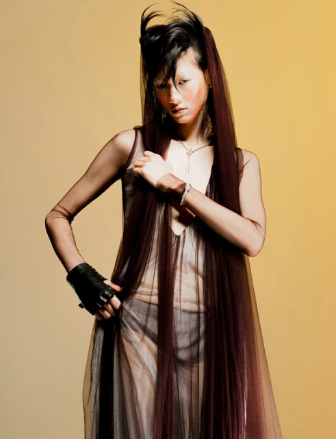 Fashion shot of a woman with an elaborate hairstyle wearing a sheer gown and black glove, posing against a warm, yellow-toned backdrop.