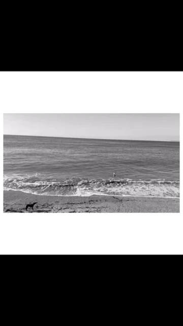 Black and white seascape featuring a dog on the beach, waves in the water, and the horizon under a clear sky.