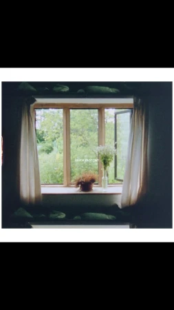 Indoor view of an open window with curtains and flowers, overlooking a lush green outdoor scene, creating a tranquil and inviting atmosphere.
