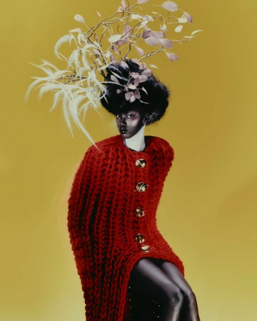 Elegant portrait of a woman with dark skin wearing a red knit coat and headpiece of feathers and twigs against a yellow background.