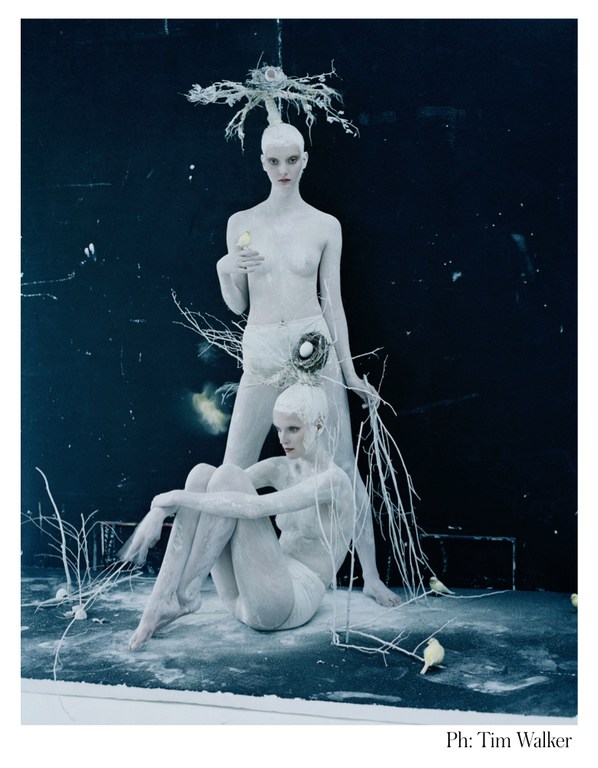 Two female fashion models with pale skin and painted white bodies posed artistically with twigs, nest props, and a dark studio background.