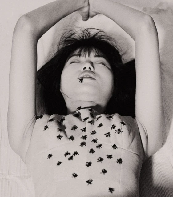 Monochrome portrait of an Asian woman lying down with a fly on her lip, wearing a dress covered with fly designs, shot from overhead.