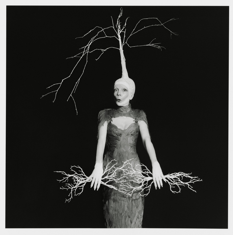 A woman in a dress and head covering with a tree branch design stands against a dark background in a conceptual portrait.