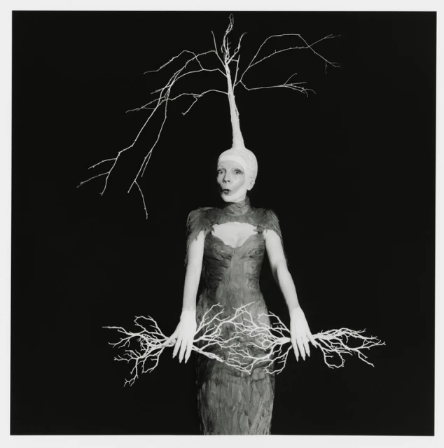 A woman in a dress and head covering with a tree branch design stands against a dark background in a conceptual portrait.