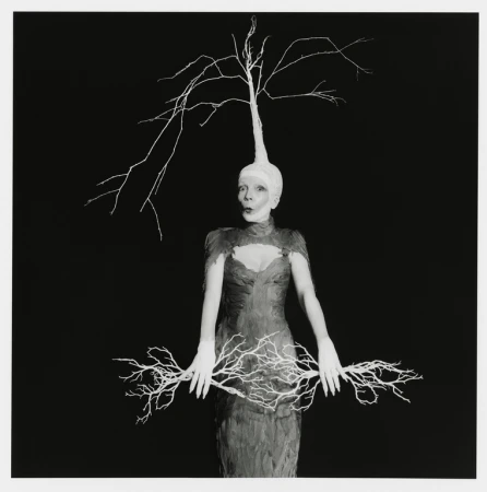 A woman in a dress and head covering with a tree branch design stands against a dark background in a conceptual portrait.