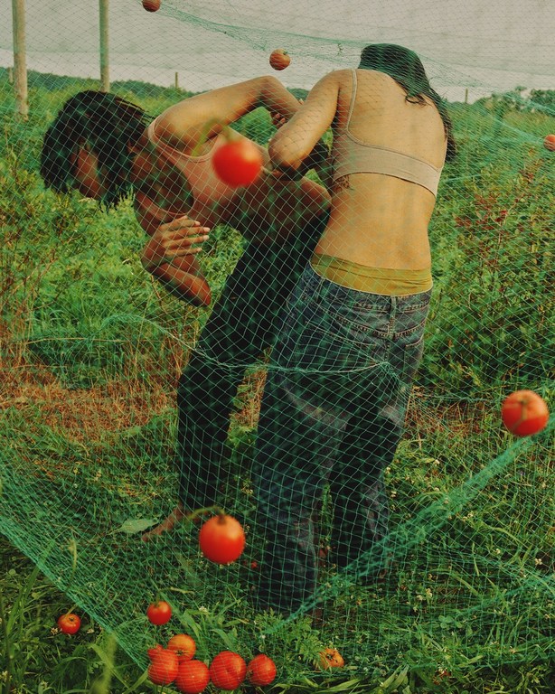 Two young adult women in jeans and sports bras stand among suspended tomatoes, seen through a green net in a sunlit outdoor setting.