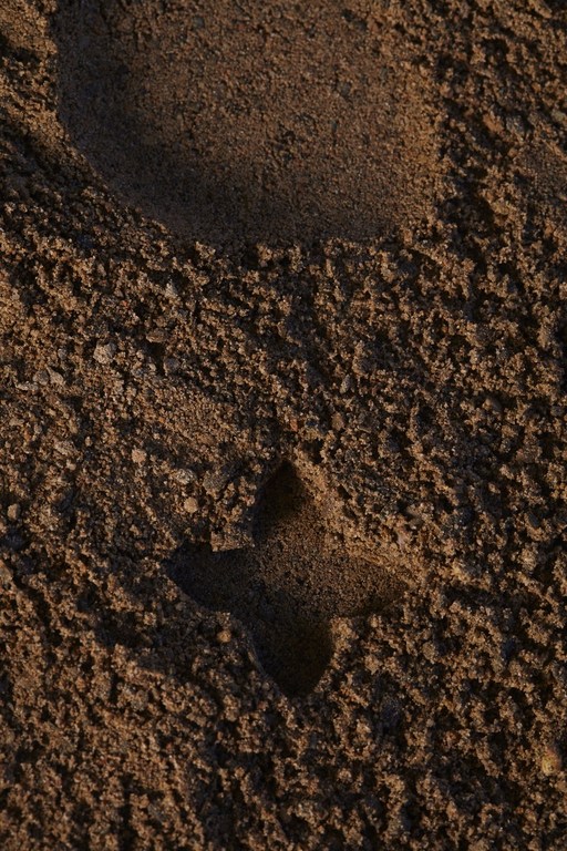 Brown sand detail with geometric imprint and a footprint-like form at the top, showcasing textures and earthy tones.
