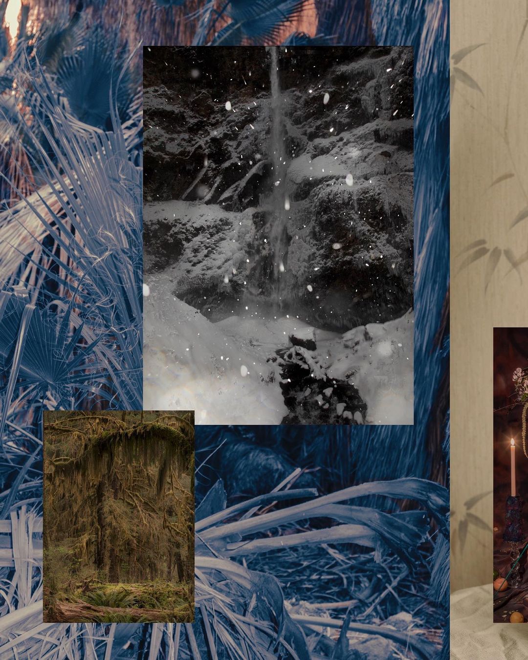 Collage of nature scenes with waterfall, forest, and stylized blue foliage overlay creating an artistic and visually interesting design.
