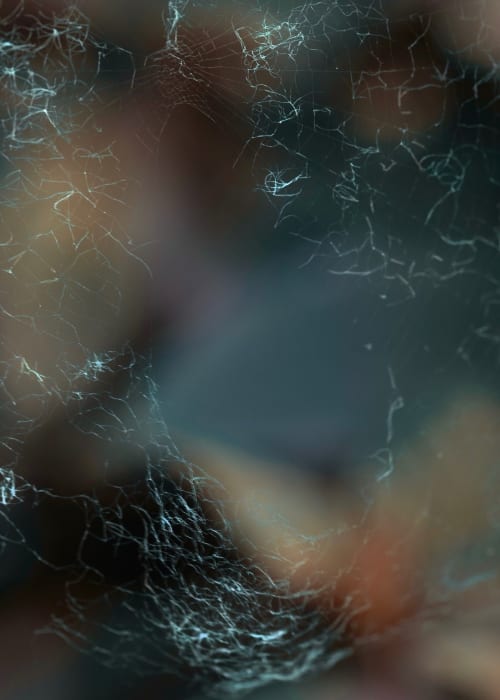 Abstract macro photography featuring intricate, glowing white lines against a blurred background of blue, brown, and orange hues.