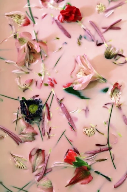 Close-up of red, pink, and blue flowers floating in a pastel pink liquid bath with green stems, evoking a dreamy, floral composition.