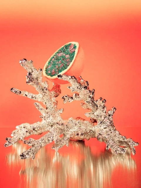 Studio shot of an orange half filled with a green material atop a silver branch against an orange gradient backdrop.