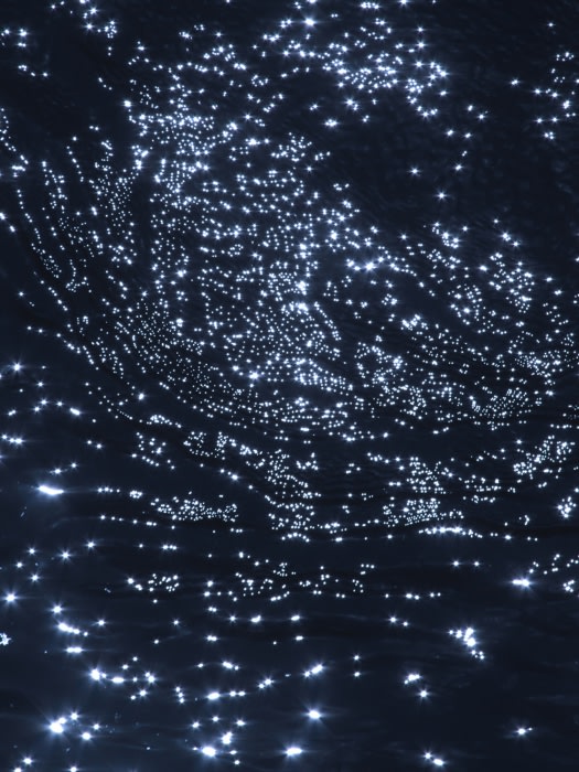 Water surface with bioluminescent plankton glowing at night, creating a stunning natural light display on the dark ocean waves.