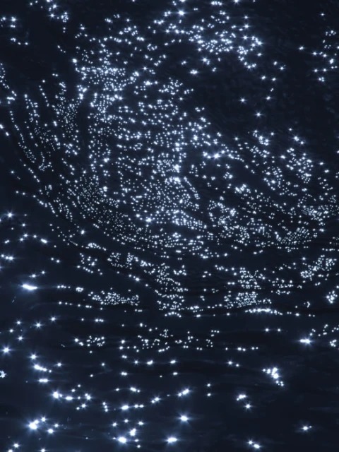 Water surface with bioluminescent plankton glowing at night, creating a stunning natural light display on the dark ocean waves.