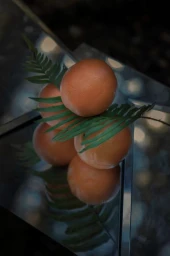 Round citrus fruits arranged with green fern fronds on a reflective mirrored surface.