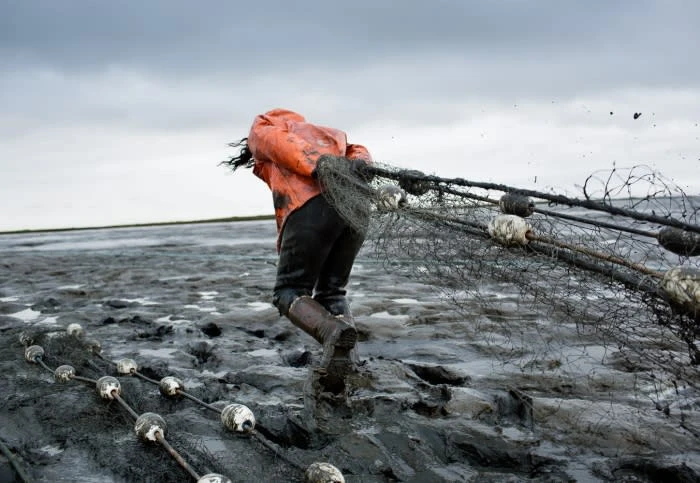 Person in orange jacket pulling fishing net on muddy shore against an overcast sky, wearing boots, capturing the essence of hard work.