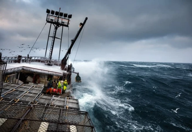 Fishing vessel navigates stormy ocean waves, with fishermen in neon gear on deck, birds in flight, and a turbulent, overcast sky.