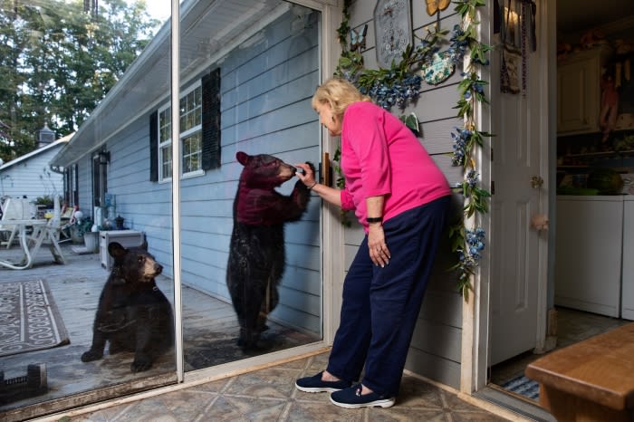 Woman interacts with a black bear through a glass door, another bear sits on the porch outside. House is visible in background.