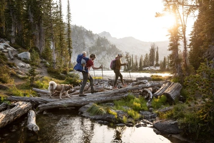 Family hiking in mountain wilderness with evergreen trees. Father carries child in pack, mother uses hiking poles. Dog walks nearby.