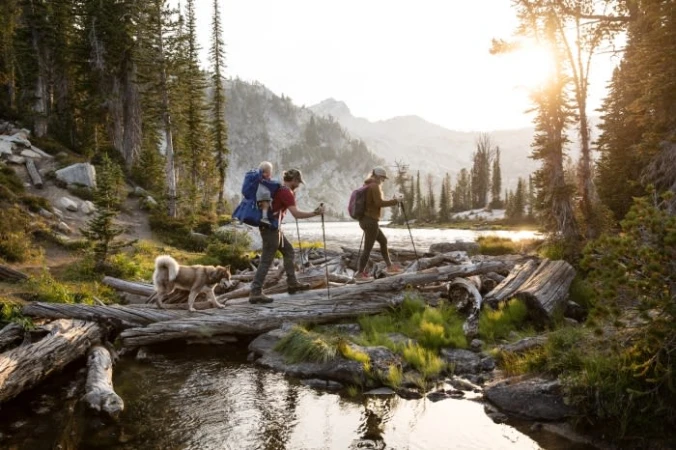 Family hiking in mountain wilderness with evergreen trees. Father carries child in pack, mother uses hiking poles. Dog walks nearby.
