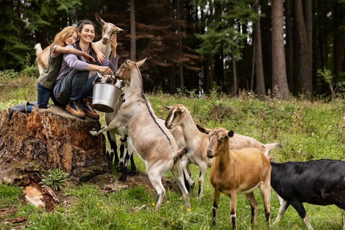 Woman and child feeding goats in a grassy, wooded area. A silver bucket is present as the goats gather around.