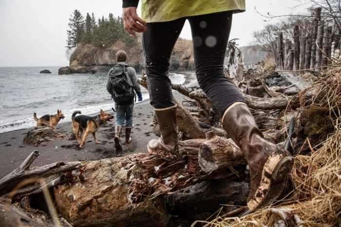 Two German Shepherds follow an adult male walking with a backpack on a dark sand beach, with a person walking on logs in the foreground.
