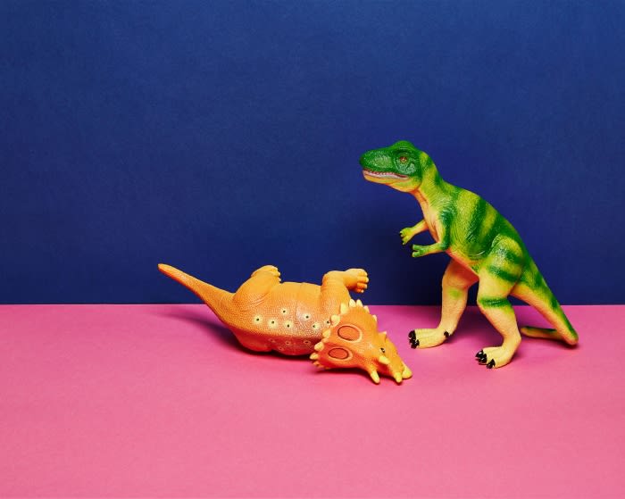 Toy dinosaurs face off on a pink surface against a blue background. One dinosaur is lying down, and the other is standing up.